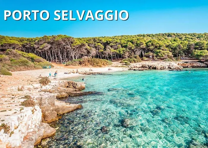 Coral - 30 Passi Dalla Spiaggia Della Purita